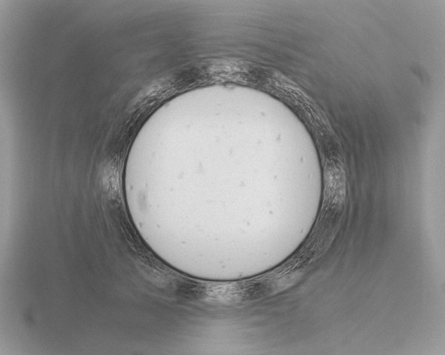 X0000115350705200912151336