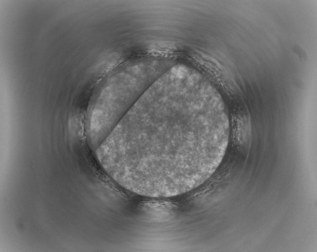 X0000115350712200912151336