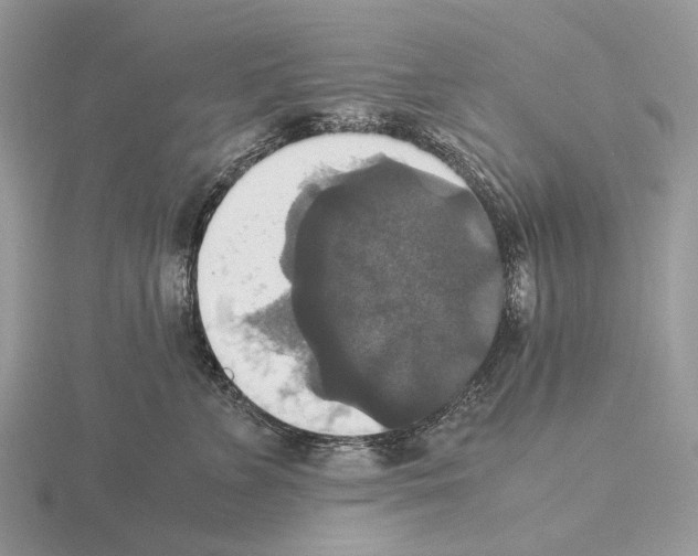 X0000115350715200912151336