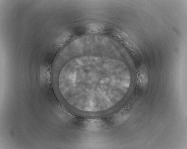 X0000115350716200912151336