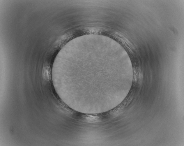 X0000115350718200912151336