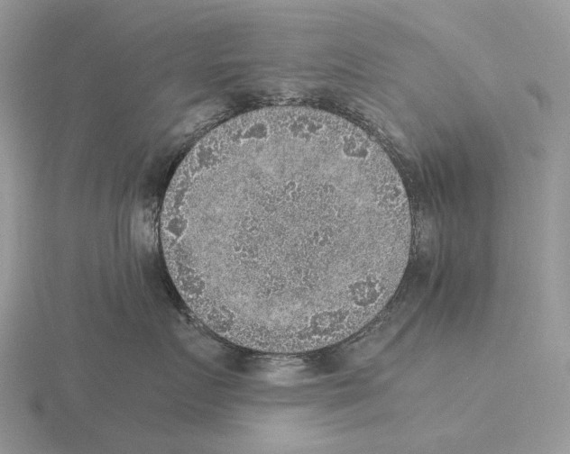 X0000115350719200912151336