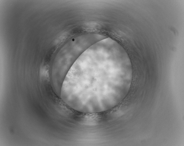 X0000115350720200912151336