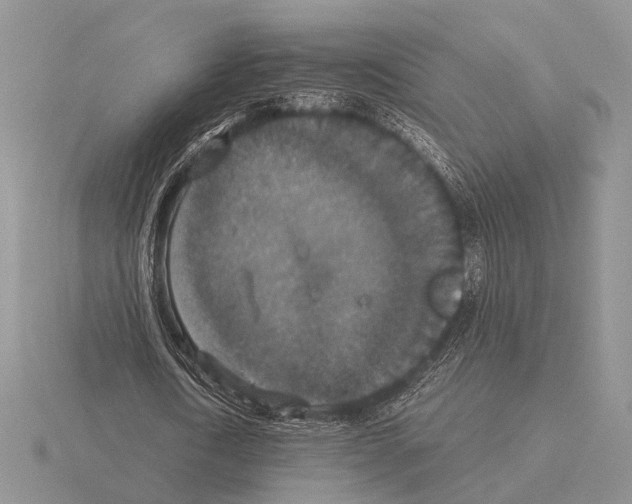 X0000115350722200912151335