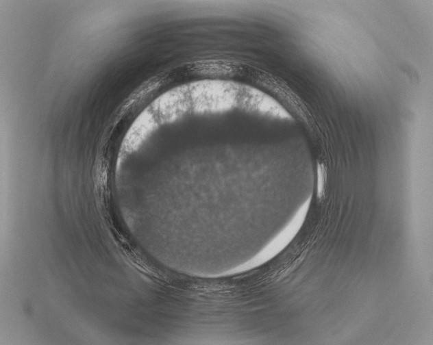 X0000115350723200912151335