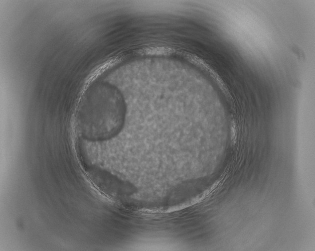 X0000115350725200912151335