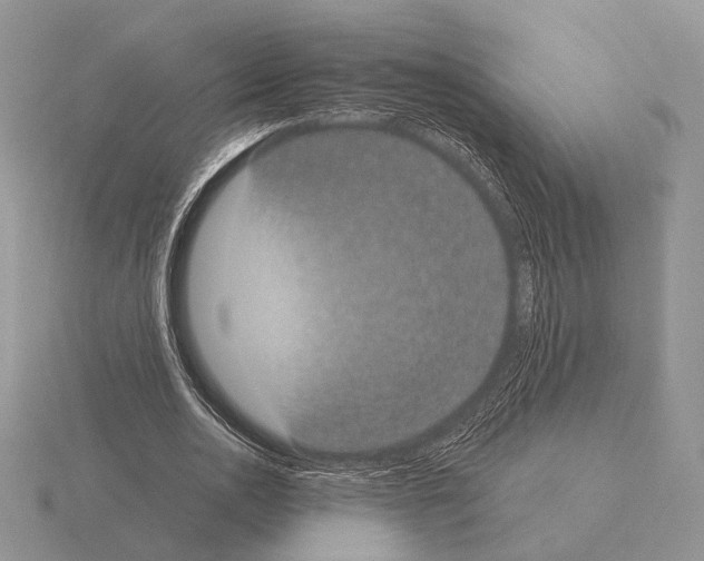 X0000115350726200912151335