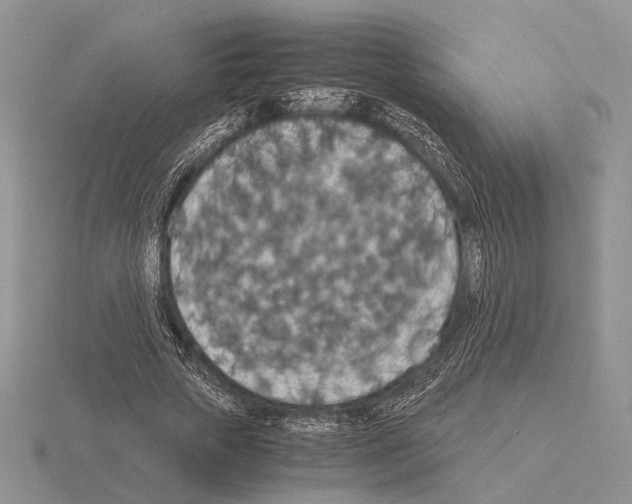 X0000115350729200912151335