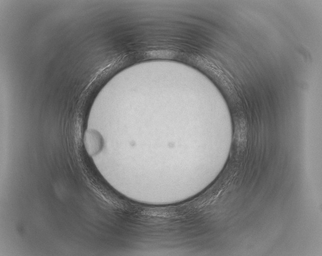 X0000115350733200912151335