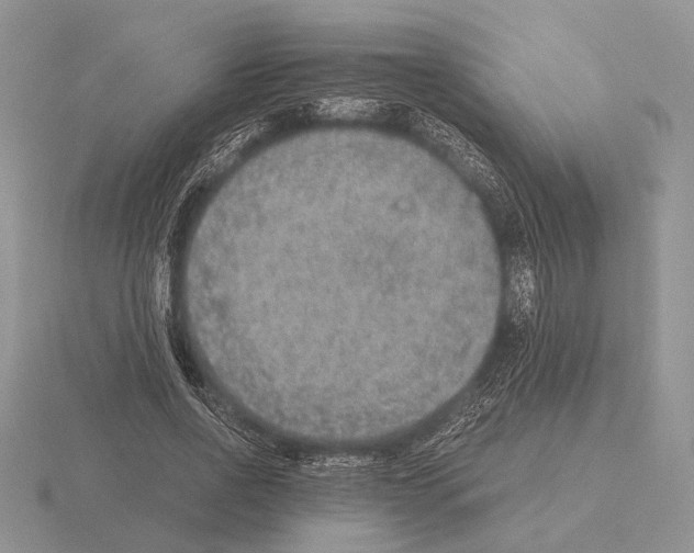 X0000115350734200912151335