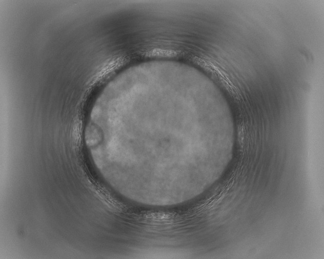 X0000115350735200912151335