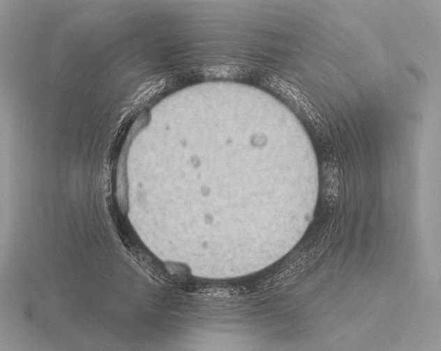 X0000115350738200912151335