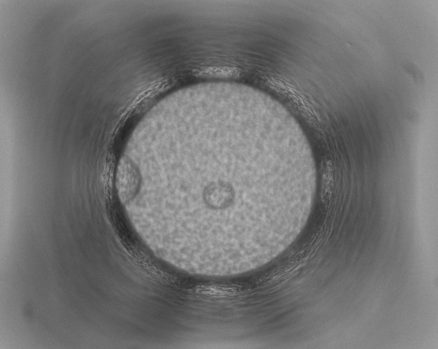 X0000115350739200912151335