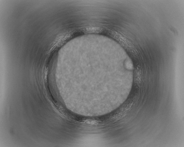 X0000115350742200912151335