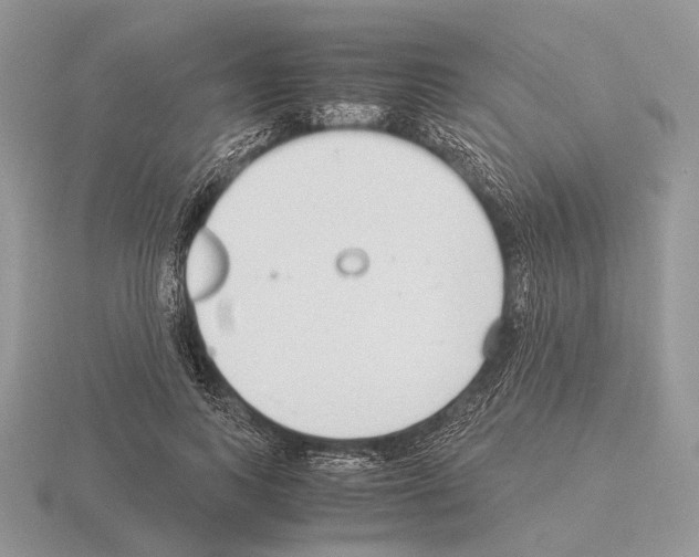 X0000115350743200912151336