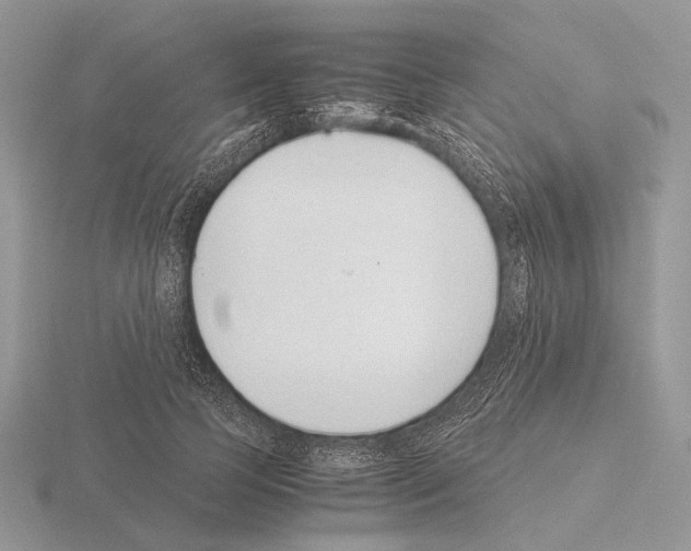 X0000115350745200912151336