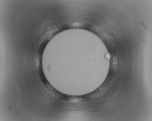 X0000115350746200912151336