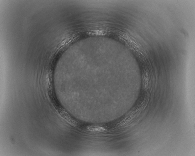 X0000115350747200912151336