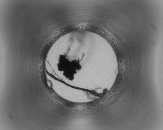 X0000115350750200912151336