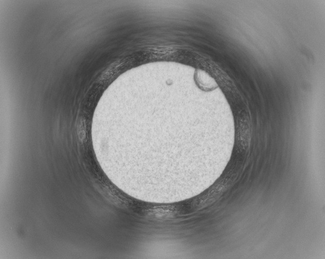 X0000115350758200912151336