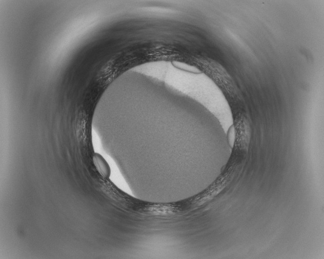 X0000115350762200912151336