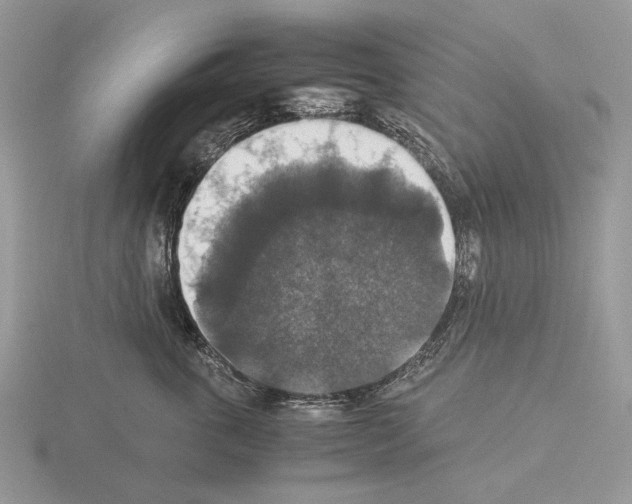 X0000115350763200912151336