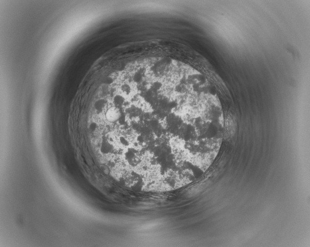 X0000115350765200912151336