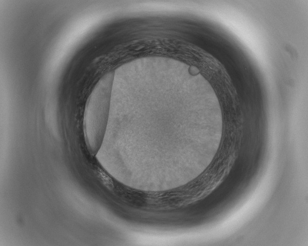 X0000115350766200912151336