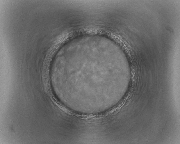 X0000115350769200912151335