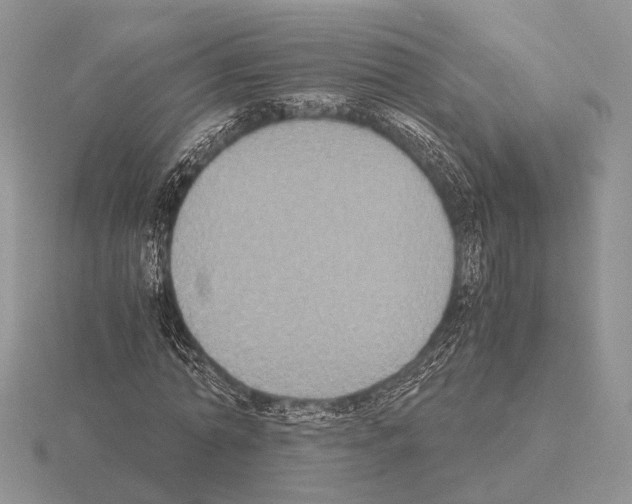 X0000115350774200912151335