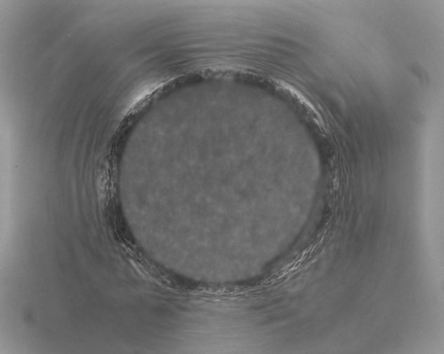 X0000115350775200912151335