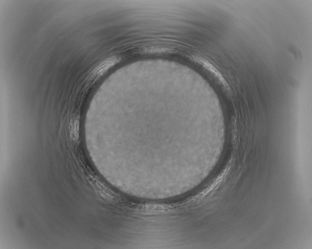 X0000115350777200912151335