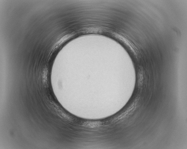 X0000115350778200912151335