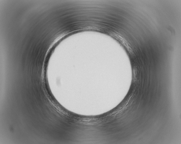 X0000115350780200912151335