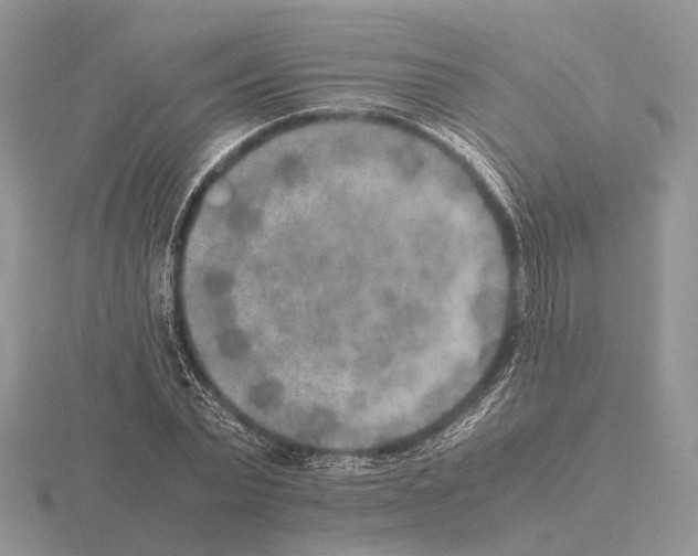 X0000115350783200912151335