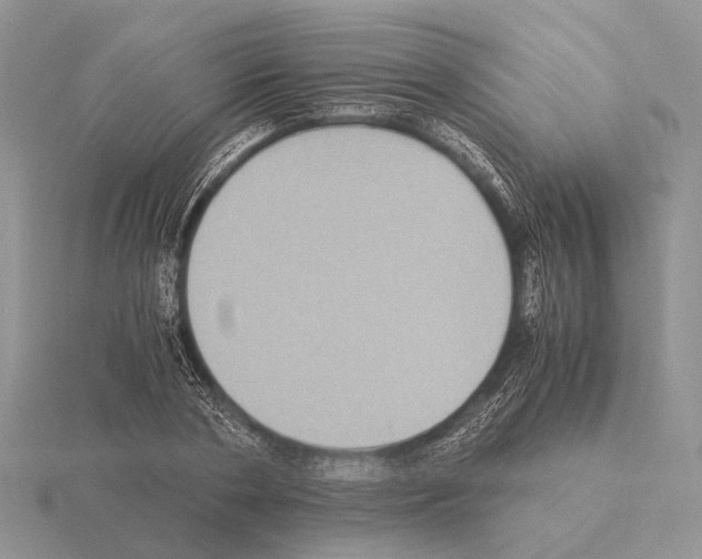 X0000115350786200912151335