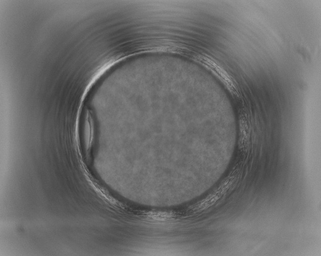 X0000115350788200912151335