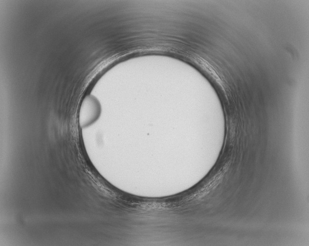 X0000115350789200912151335