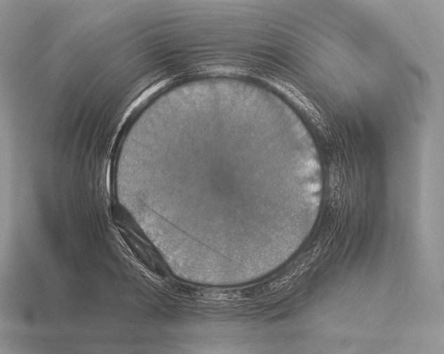 X0000115350790200912151335