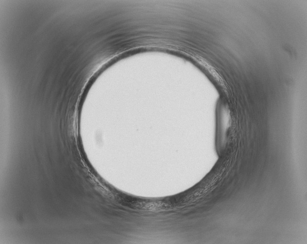 X0000115350791200912151335