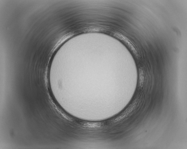 X0000115350794200912151335