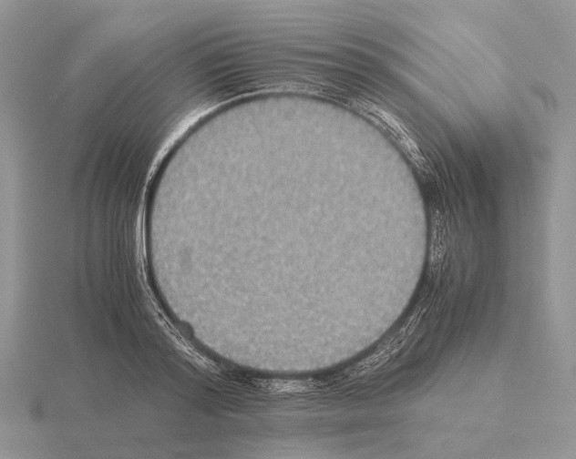 X0000115350796200912151335