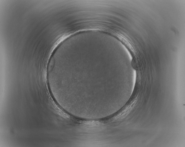 X0000115350797200912151335