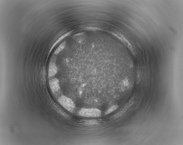 X0000115350798200912151335