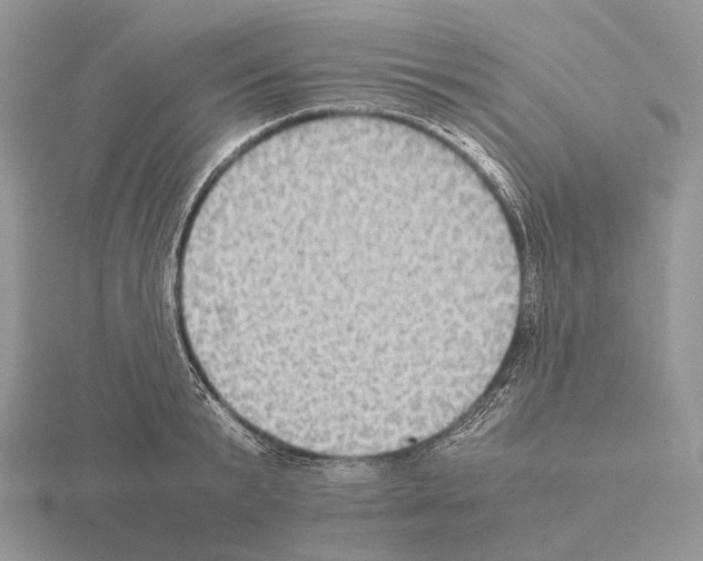 X0000115350799200912151335