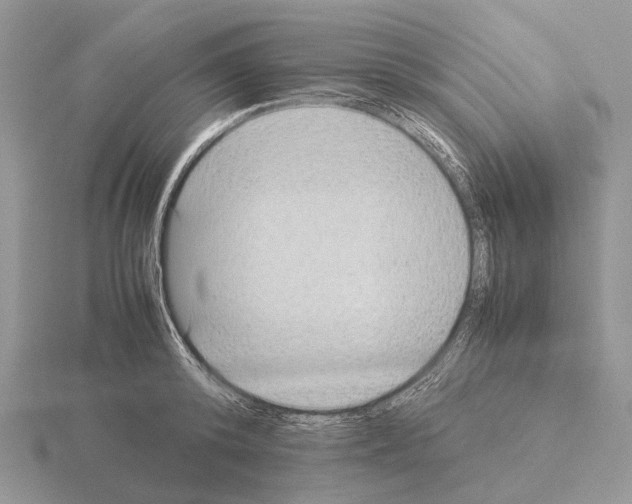 X0000115350800200912151335