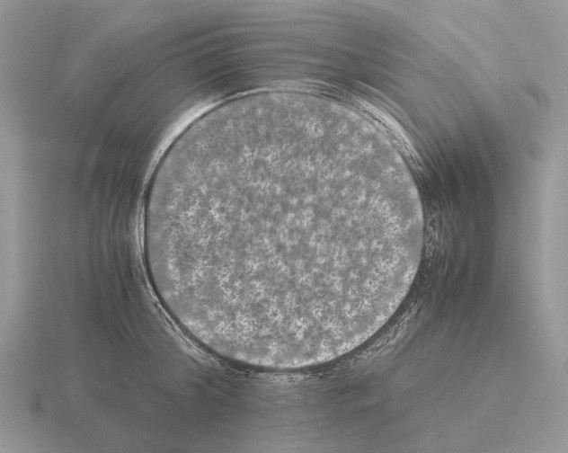 X0000115350804200912151335