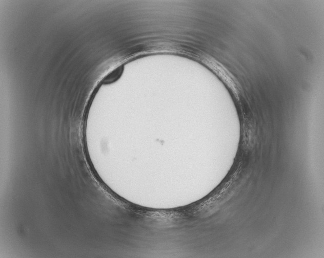 X0000115350805200912151335