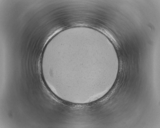 X0000115350806200912151335