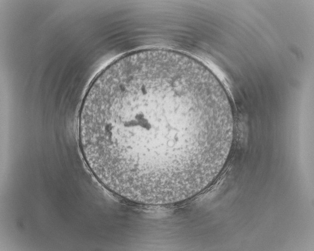 X0000115350807200912151335